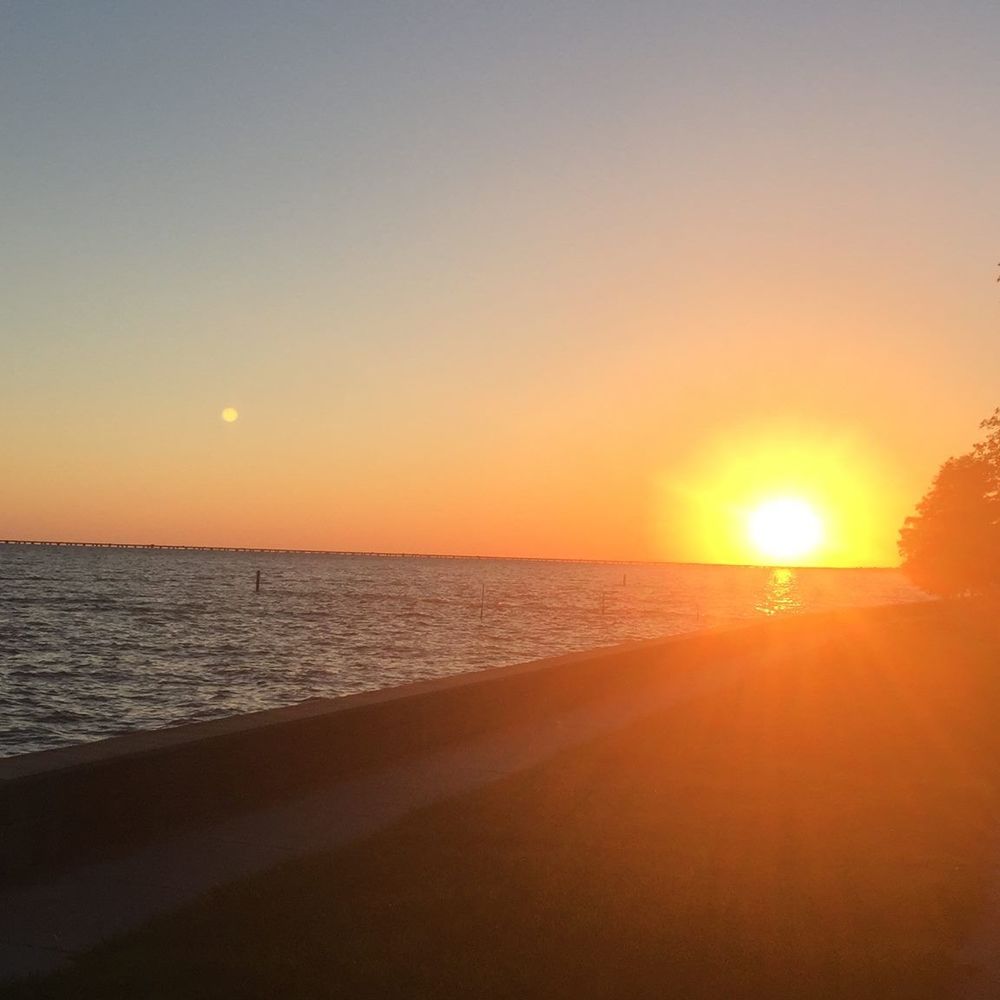 Meet your Posher, Rex